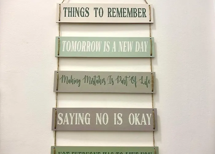 So Cozy 베오그라드